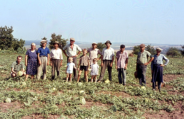 Melonenfeld.jpg