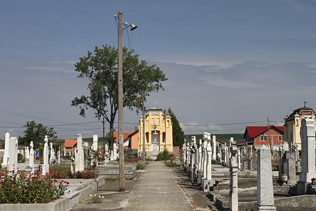 RF2010-001.jpg