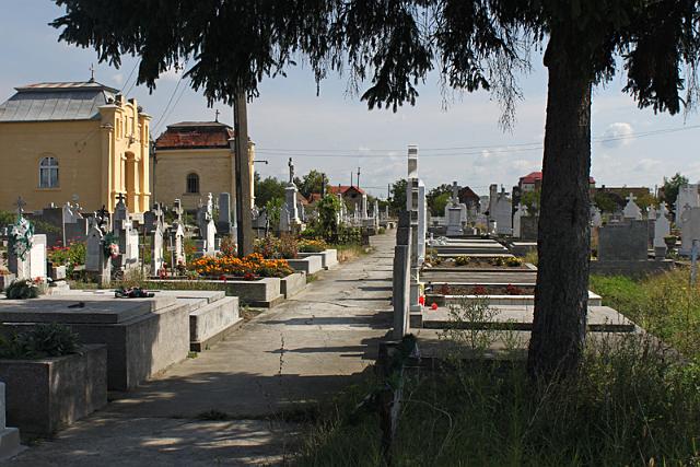 RF2010-011.jpg